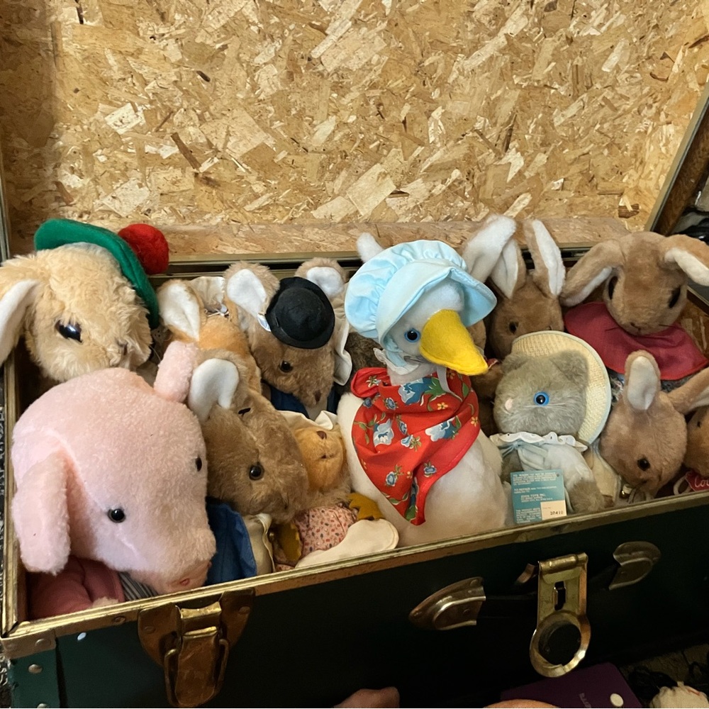 Charming Beatrix Potter Collectible Plush Animal Set with Colorful Attire